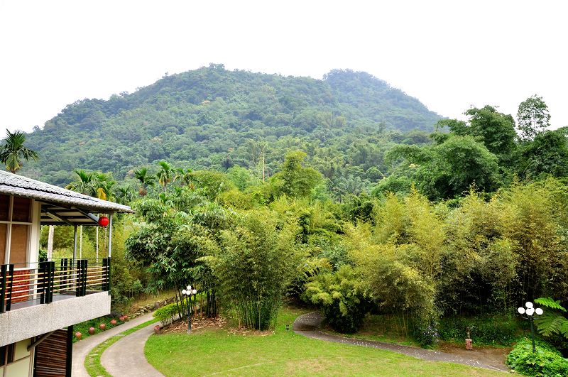 官方網站全新改版上線！